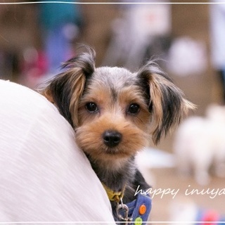 刈谷（かりや）元気なおこちゃま