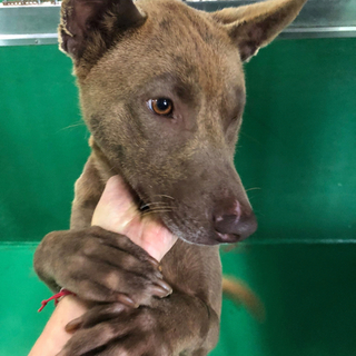 拡散のご協力ありがとうございました