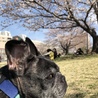 ずーずーずー