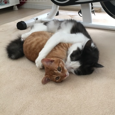 山本 律 （りつ）の写真