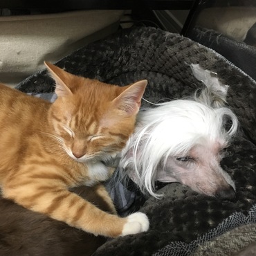 山本 律 （りつ）の写真