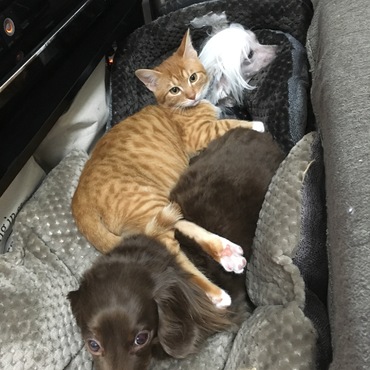 山本 律 （りつ）の写真