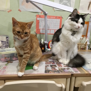 山本 律 （りつ）の写真