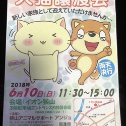 イオン狭山犬猫譲渡会