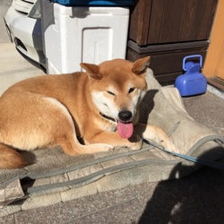 日なたぼっこ 気をつけて