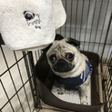 人なつこい性格です！