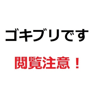 レッドローチ（幼虫多数）