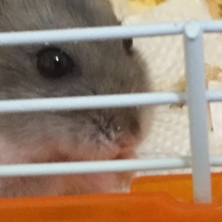 「やはりわが子は可愛いのですヽ(｡･ω･｡)ﾉ」サムネイル2