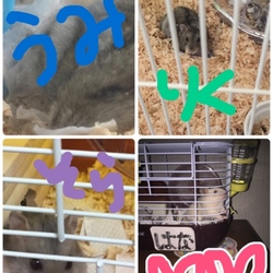 「やはりわが子は可愛いのですヽ(｡･ω･｡)ﾉ」サムネイル3