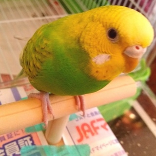 ご応募頂けたので一旦終了します