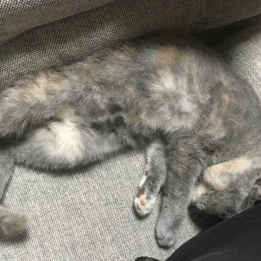 甘えんぼ