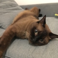 ミロ
