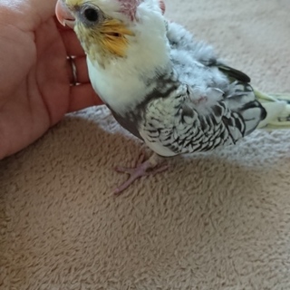 沢山のご応募ありがとうございました！