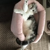 の写真