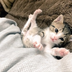 我が家にきて20日経過