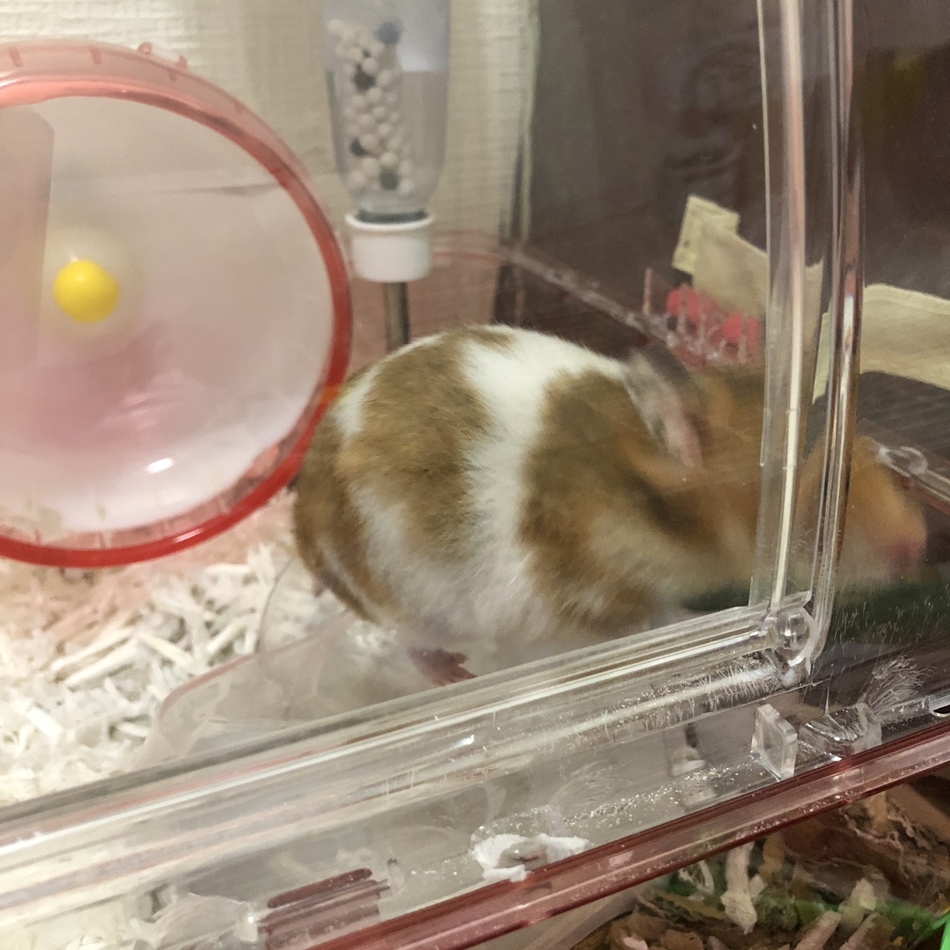 ななしのカバー写真