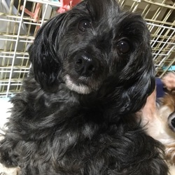 ヤキモチ(｀・ω・´)