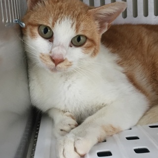 お迎えがありました！有難うございました。