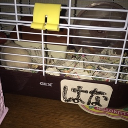 今日のはなちゃん(｡>﹏<｡)~♡