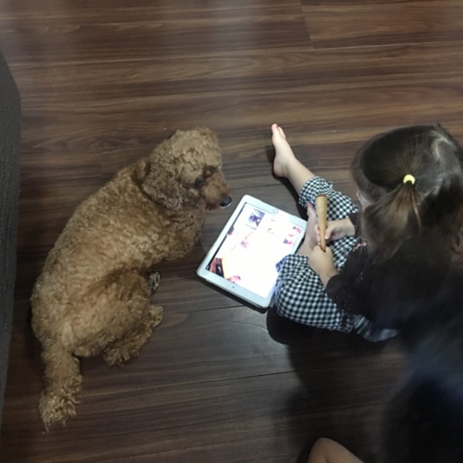 シャオリンのカバー写真