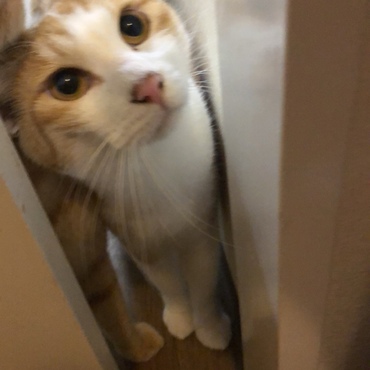 ドアの向こう