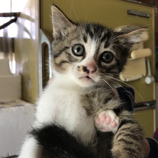 4姉弟で一番元気な男の子