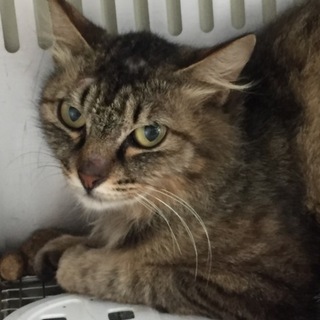 お迎えがありました！有難うございました。