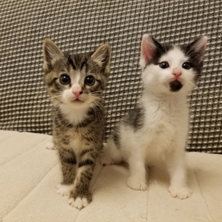 可愛すぎます！！