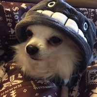 ププ