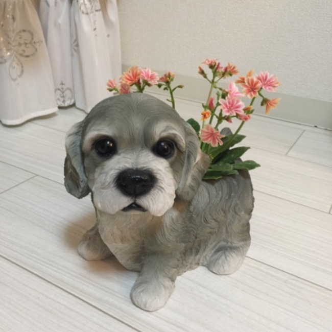 ベル0725のカバー写真