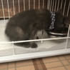 ご飯中♡