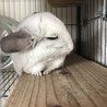 の写真