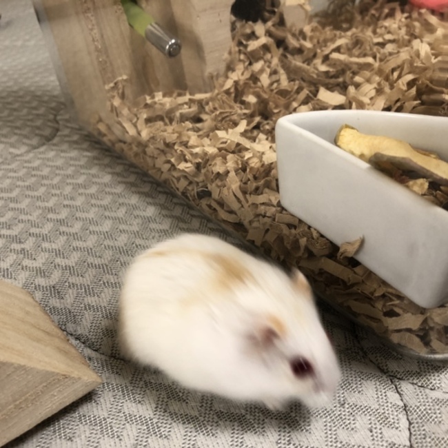 MASA１０３１のカバー写真