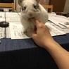の写真