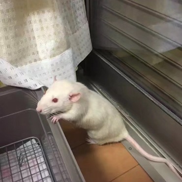 の写真