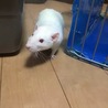 の写真
