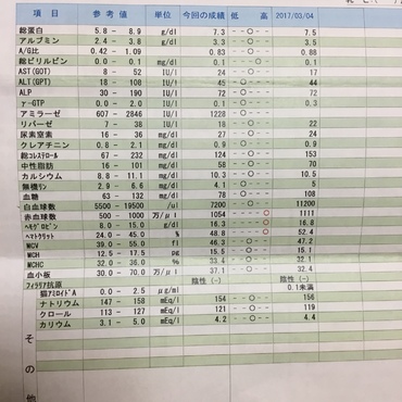 血液検査の結果/   大丈夫でした(^_^)