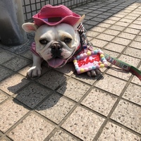 あんず