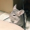 手がかわいい