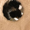 の写真