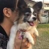 真珠@@@