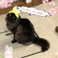 くろぽん