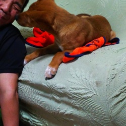 「ニジマスで激変したエマ」サムネイル1