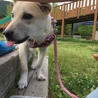 公園に遊びにいきました