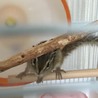 なーこ☺︎