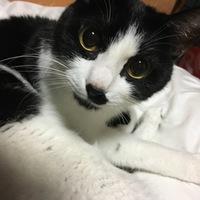 くうちゃん