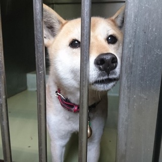 綺麗なお顔のサツキちゃん