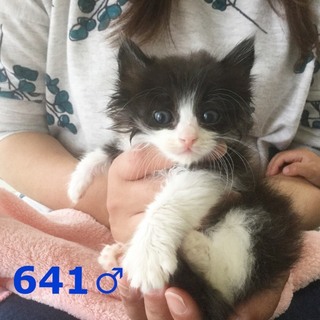 管理番号：OS−641