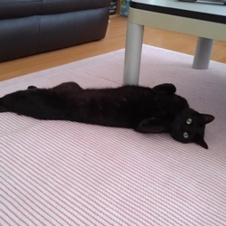 またおしっこが・・・