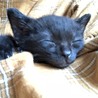 眠すぎるこっちゃん